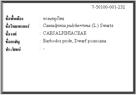กล่องข้อความ: 7-50100-001-232 ชื่อพื้นเมือง : หางนกยุงไทย ชื่อวิทยาศาสตร์ : Caesalpinia pulcherrima (L.) Swartz ชื่อวงศ์ : CAESALPINIACEAE ชื่อสามัญ : Barbodos pride, Dwarf poinciana ประโยชน์ : -